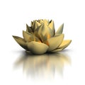 Golden lotus