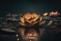 Golden lotus rose blooms at night in the water in the swamp. Fantasy magic flower, yellow light from inside, the reflection of the Royalty Free Stock Photo