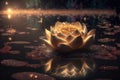 Golden lotus rose blooms at night in the water in the swamp. Fantasy magic flower, yellow light from inside, the reflection of the Royalty Free Stock Photo