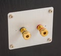 Golden loudspeaker output terminals on the back of the speaker. Connectors for connecting cable or wire. Royalty Free Stock Photo