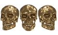 The golden low poly skulls with white background