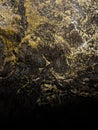 Golden luminescent microbes in the Lava Beds National Monument caves of the northern Sierra Nevadas