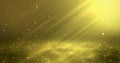 Golden luxury bokeh on particles floating in the air. Abstract Luxury Bokeh Background. Loop Animation