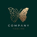 Golden Luxury Butterfly Logo Design Vector