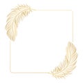 Golden luxury frame with bird feathers isolated on white background. Design for invitations, cards Royalty Free Stock Photo