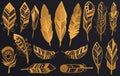 Golden Luxury Tribal Feathers set. Gold boho ethnic collection isolated on dark black background.