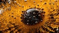 Golden Magnetic Marvel: Exploring Macro Details of Ferrofluid\'s Attractive Properties