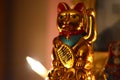 Golden Maneki Neko, the Lucky Cat