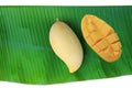 Golden mangoes fruit on fresh green banana leaf isolated on white background. Ripe yellow Barracuda mango. Tropical fruit in Royalty Free Stock Photo