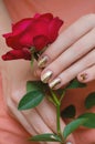 Golden manicure. Female hand holding red rose Royalty Free Stock Photo