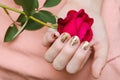 Golden manicure. Female hand holding red rose Royalty Free Stock Photo