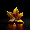 Golden maple leaf on dark background