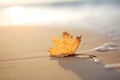 Golden maple leaf on white sand on the beach under the autumn sun. Free space for text. Generative AI Royalty Free Stock Photo