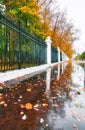 Golden maple tree alley in Moscow park in nasty autumn Royalty Free Stock Photo