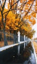 Golden maple tree alley in Moscow park in nasty autumn Royalty Free Stock Photo