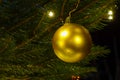 Golden matte Christmas tree ball hanging on a green Christmas tree. Festive Christmas in Germany with the finest decoration. Royalty Free Stock Photo