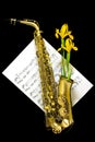 Golden matte finished alto saxophone with yellow iris lilies on black background Royalty Free Stock Photo