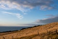 Golden meadow view with pacific ocean at behind Royalty Free Stock Photo