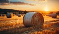 Golden meadow, rolled haystacks, nature harvest, rural beauty in summer generated by AI Royalty Free Stock Photo