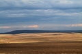 Golden meadows of Russia.