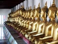 Golden meditation buddha sitting figures statues inside corridor