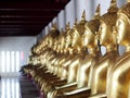 Golden meditation buddha sitting figures statues inside corridor