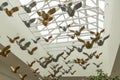 golden and metal birds - a fragment of a modern art installation in a shopping center. A symbol of freedom and love