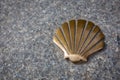 Golden metal Scallop Shell, symbol of Camino de Santiago route. Royalty Free Stock Photo