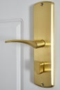 Golden metallic doorknob on a wooden white door. Home decoration. Entrance