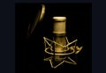 Golden microphone