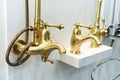 Golden modern shower taps in retro style. Plumbing trade in a household goods store Royalty Free Stock Photo