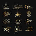 Golden molecular vector logotypes. Evolution concept formula chemistry genetic technology icons set