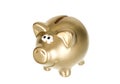 Golden money box pig for savings Royalty Free Stock Photo