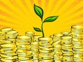 Golden money stacks and wealth tree sprout. Retro illustration of the shining gold coins and little green plant. Investment Royalty Free Stock Photo