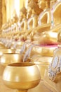 Golden monk's alms bowl and golden buddha statue