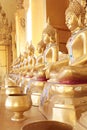 Golden monk's alms bowl and golden buddha statue