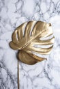 Golden monstera leaf on luxury marble background. Clean minimal flat lay design. Tropical gold foliage for trendy layout. Luxury
