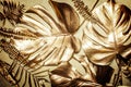 Golden monstera leaf on luxury shiny textured background. Gold tropical palm leaves design layout banner. Natural creative fashion