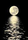 Golden Moon Beauty Royalty Free Stock Photo