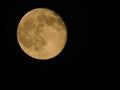 The golden moon in the light of the black heavens Royalty Free Stock Photo