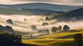 Golden Morning Mist Over Rapeseed Fields Royalty Free Stock Photo