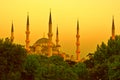 Golden Mosque Royalty Free Stock Photo