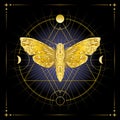 Golden Moth Symbol of Inner Wisdom against Sacred Geometry Esoteric Illustration