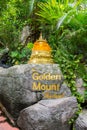 The Golden Mount Royalty Free Stock Photo