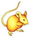 Golden mouse. New Year by 1996.