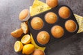 Golden muffins with poppy seeds and lemon zest close-up in a metal muffin pan. horizontal top view Royalty Free Stock Photo