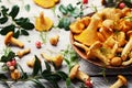 Golden mushrooms chanterelle cantharellus cibarius in ceramic bowl decorated forest plants and moss on vintage wooden table.