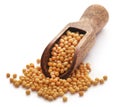 Golden Mustard Royalty Free Stock Photo