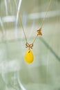 Golden necklace with amber and small diamonds on a glass shelf Royalty Free Stock Photo