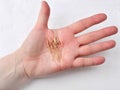 Golden Needles for traditional chinese acupuncture procedure in a female palm. Royalty Free Stock Photo